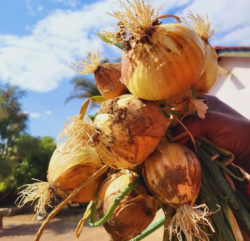 485742160_631235942998128_1151984205489674068_n